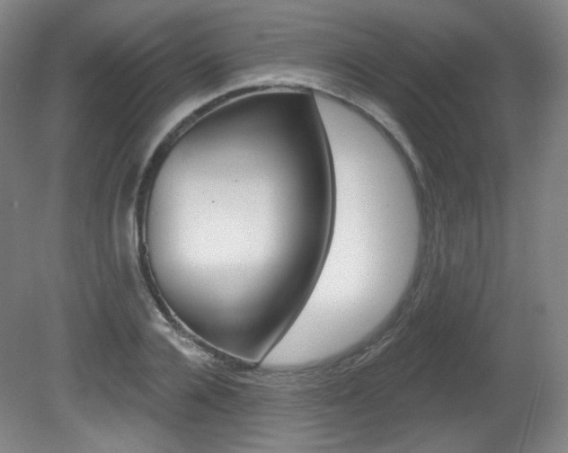 X0000080740936200612150928