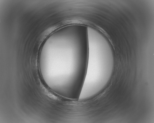 X0000080740938200612150928