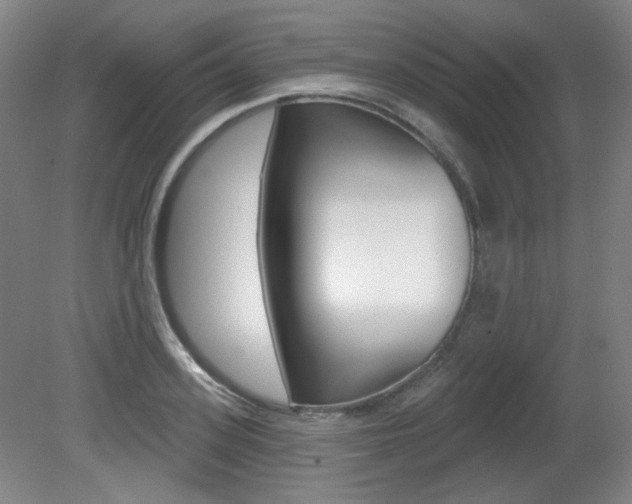X0000080740939200612150928