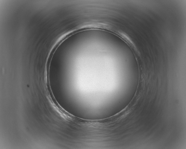 X0000080740940200612150928