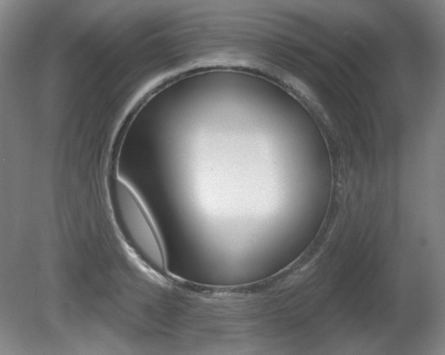 X0000080740942200612150928