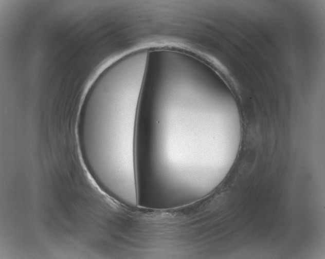 X0000080740943200612150928