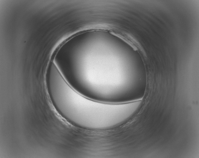 X0000080740944200612150928