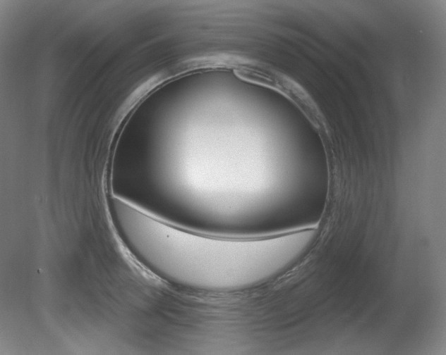X0000080740946200612150928