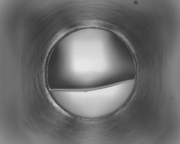 X0000080740949200612150928
