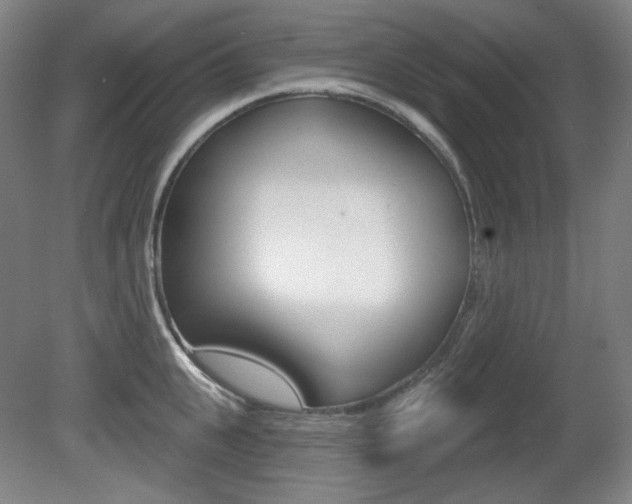X0000080740951200612150928