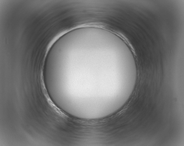 X0000080740952200612150928