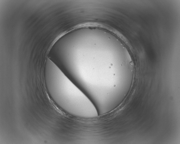 X0000080740953200612150928