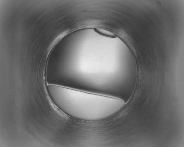 X0000080740954200612150928