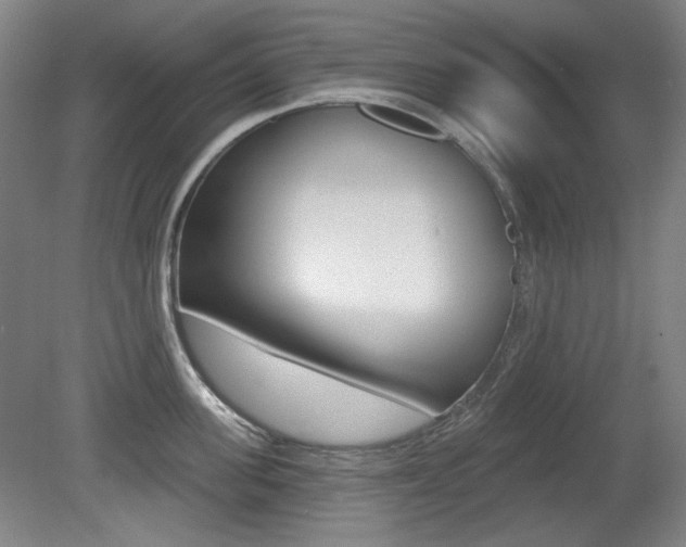 X0000080740955200612150929