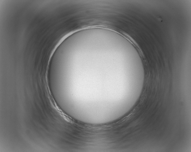 X0000080740956200612150929