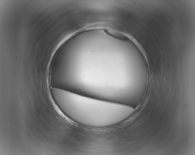 X0000080740957200612150929