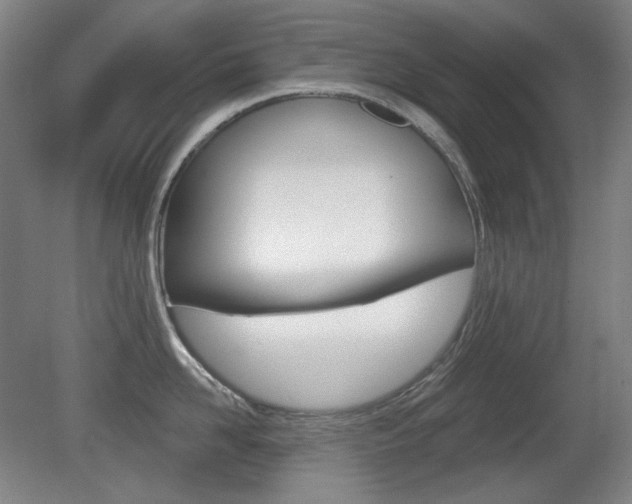 X0000080740958200612150929