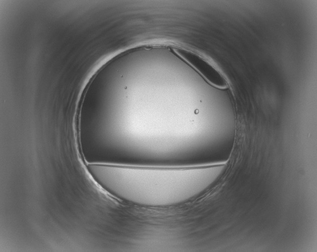 X0000080740959200612150929