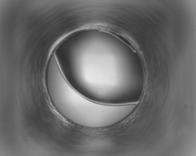 X0000080740960200612150929