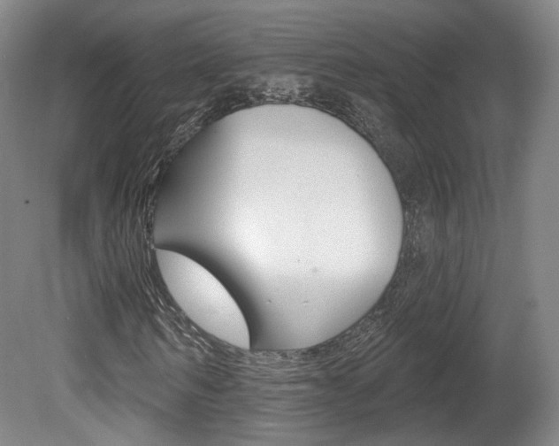 X0000080740962200612150928