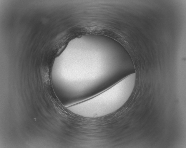 X0000080740963200612150928