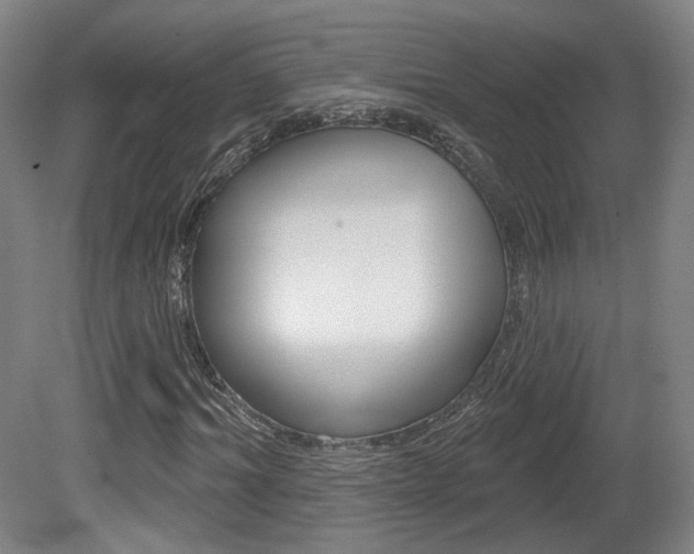X0000080740964200612150928