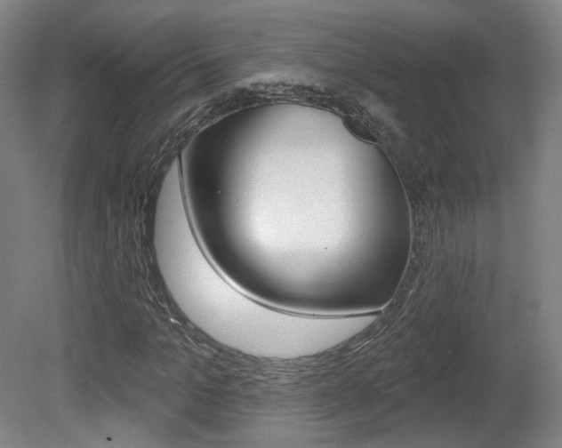 X0000080740965200612150928
