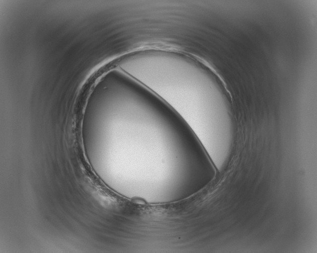 X0000080740971200612150928