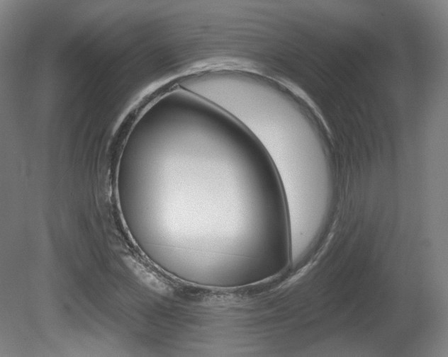 X0000080740973200612150928