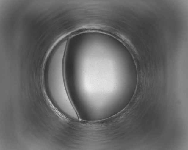 X0000080740976200612150928