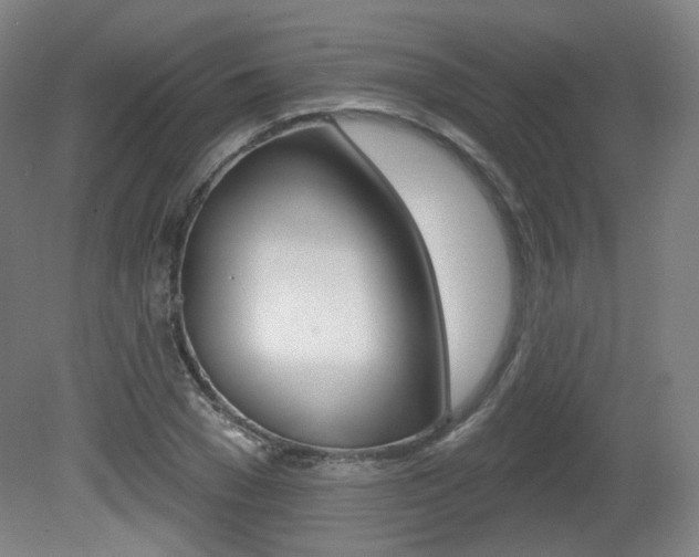 X0000080740977200612150928