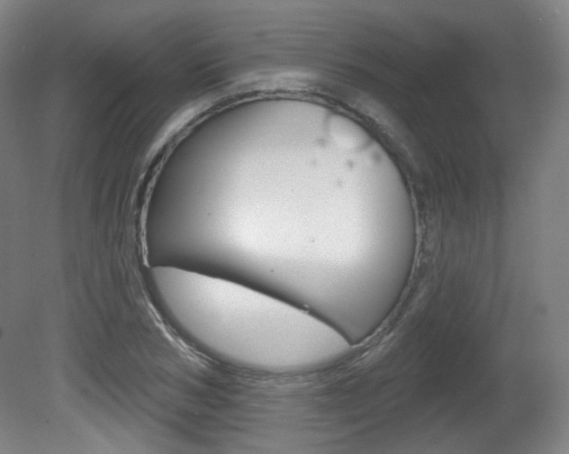 X0000080740978200612150928