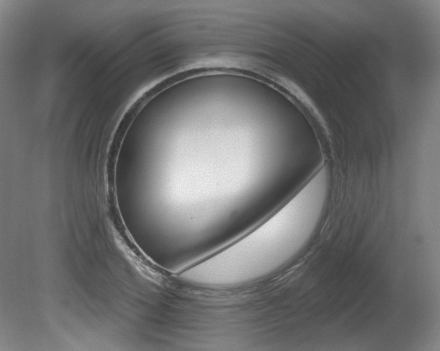 X0000080740980200612150927