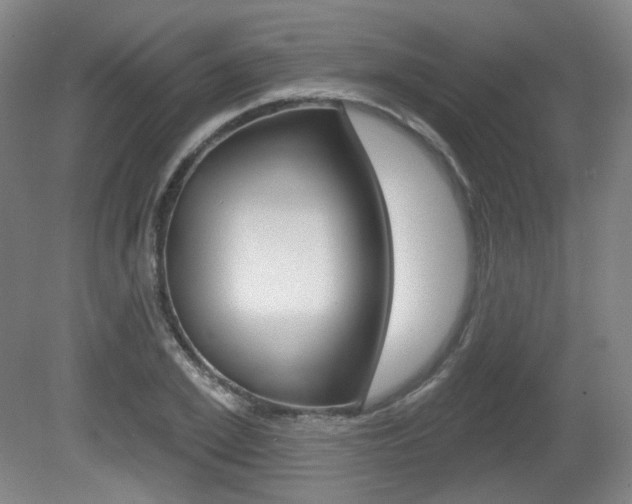 X0000080740981200612150927