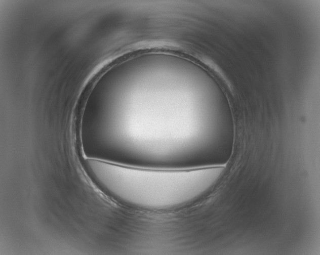 X0000080740983200612150927