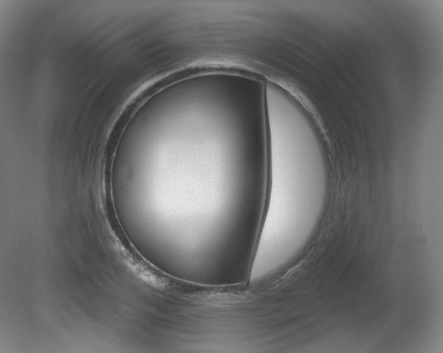 X0000080740984200612150927
