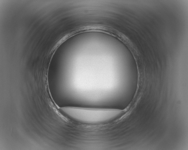 X0000080740985200612150927
