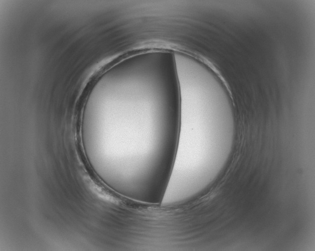 X0000080740987200612150927