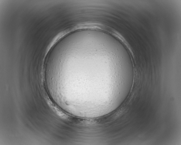 X0000080740994200612150927