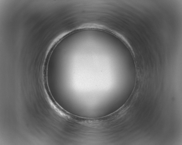X0000080740995200612150927