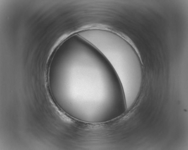 X0000080740997200612150927