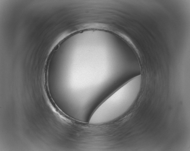 X0000080740999200612150927