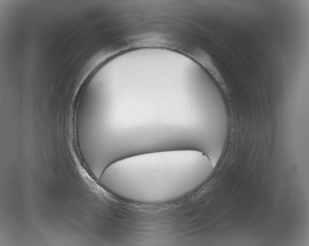 X0000080741000200612150927