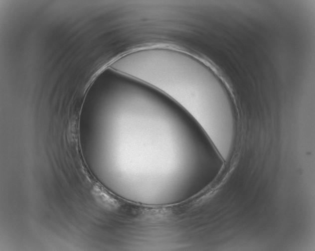 X0000080741001200612150927