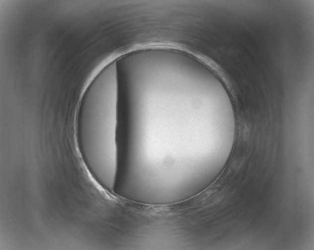 X0000080741006200612150927