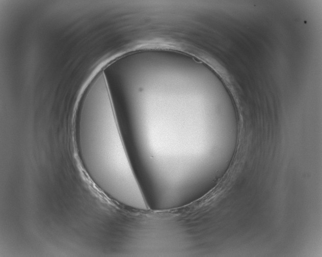 X0000080741008200612150927