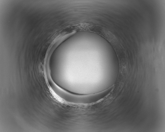 X0000080741010200612150926