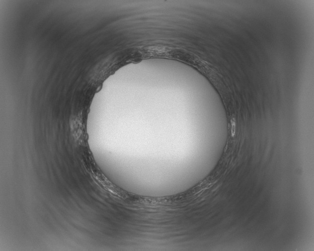 X0000080741011200612150926