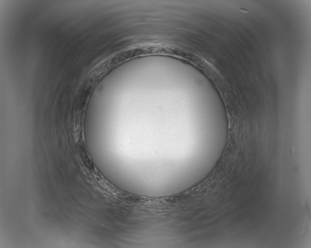X0000080741015200612150926