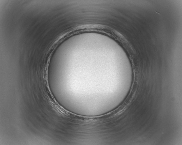 X0000080741017200612150926