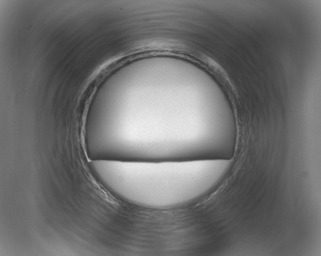 X0000080741019200612150926