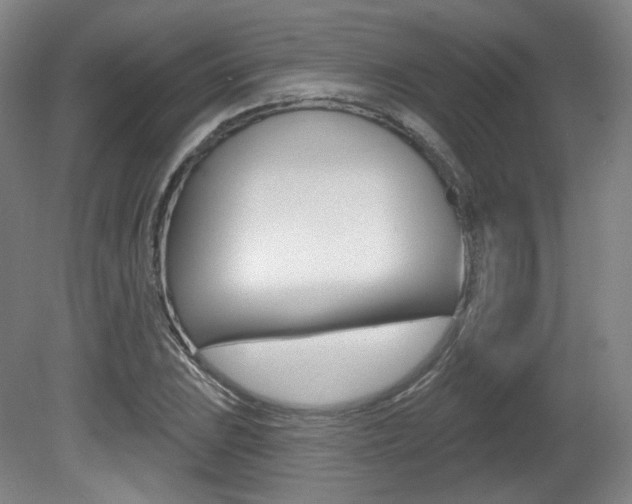 X0000080741023200612150926