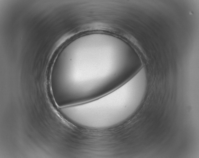 X0000080741024200612150926