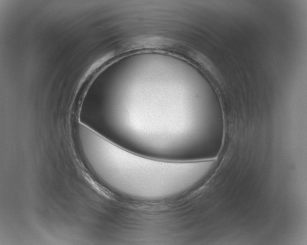 X0000080741026200612150926